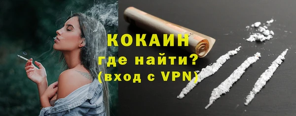 стаф Алагир