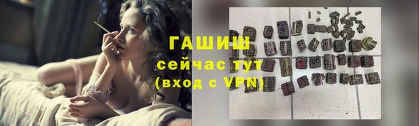 стаф Алагир
