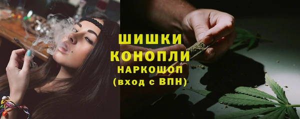 стаф Алагир