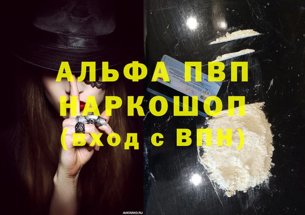 стаф Алагир