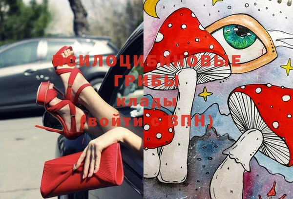 стаф Алагир