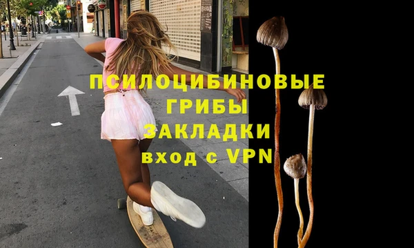 соль ск Аксай
