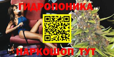 эйфоретик Бугуруслан