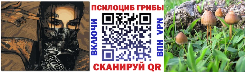 Галлюциногенные грибы GOLDEN TEACHER  Добрянка 
