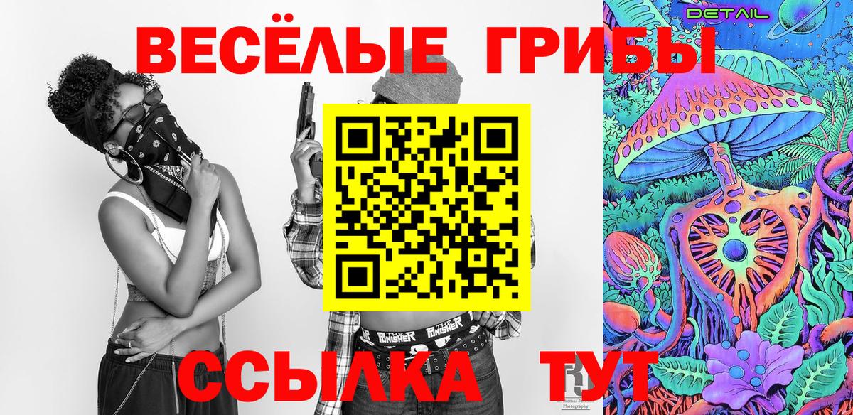 где можно купить   Добрянка  Псилоцибиновые грибы Magic Shrooms  Галлюциногенные грибы GOLDEN TEACHER 