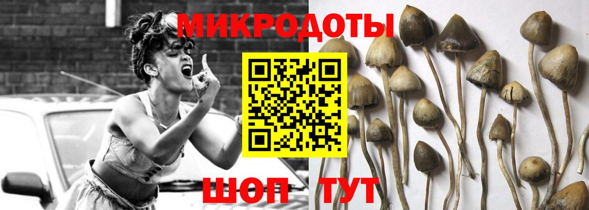 Псилоцибиновые грибы Cubensis Добрянка