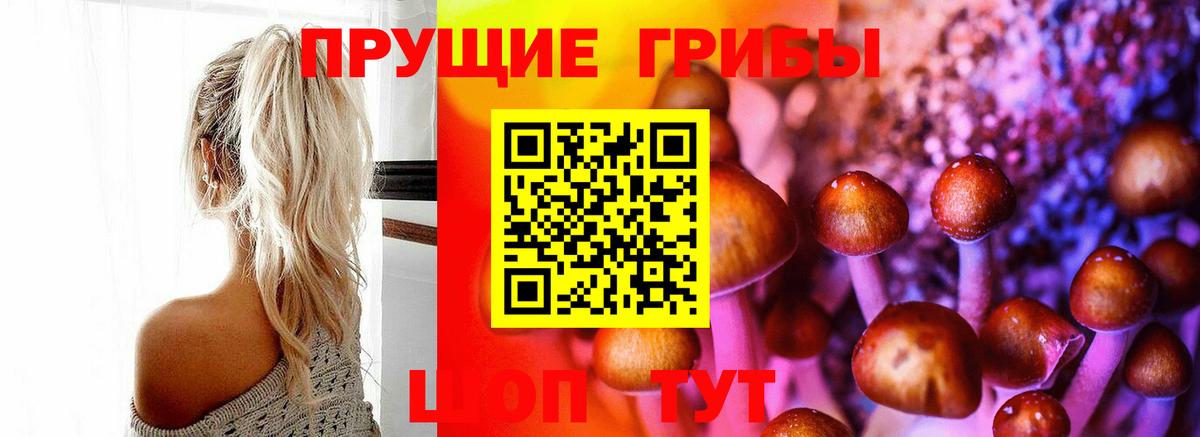 как найти наркотики  Галлюциногенные грибы мухоморы  Вход с VPN  Галлюциногенные грибы Psilocybe  Добрянка 