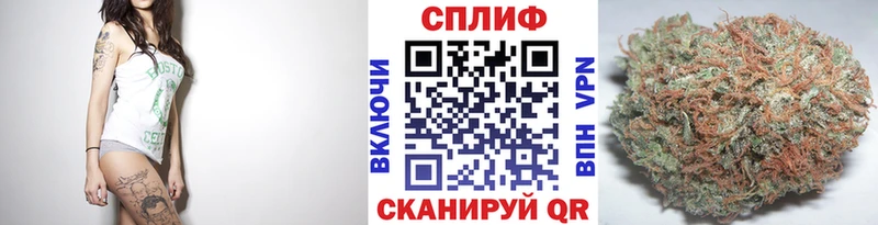 Бошки Шишки ГИДРОПОН Добрянка